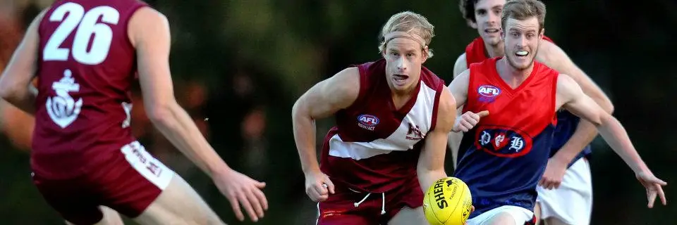 Manly Warringah Wolves