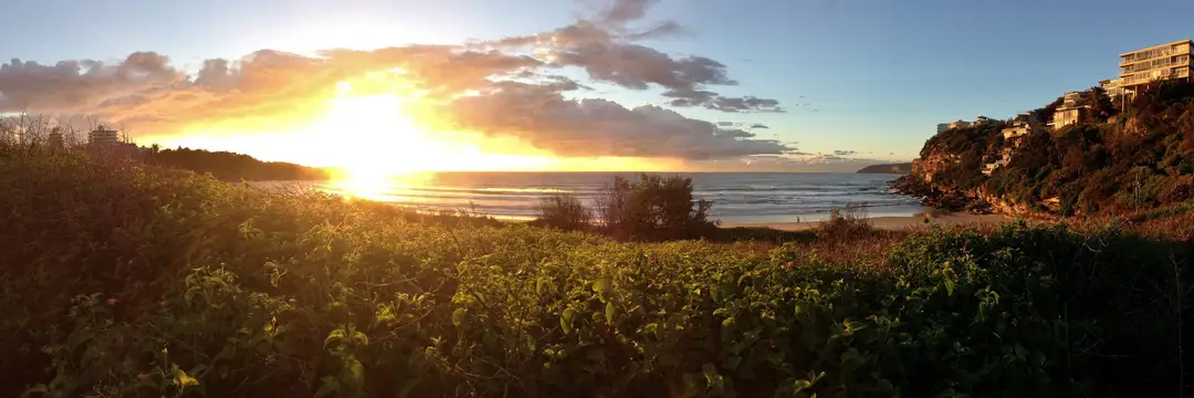 Freshie Boardriders