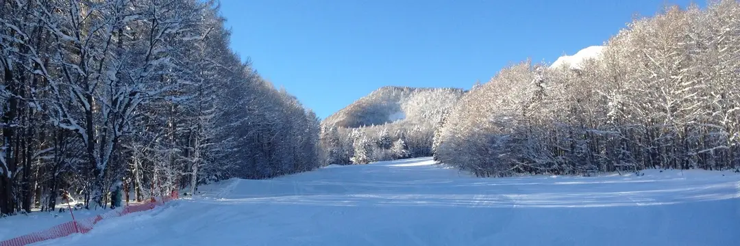 Harry Gotto Snow Club