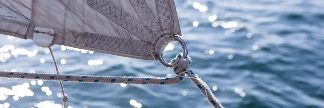 Sailability NSW