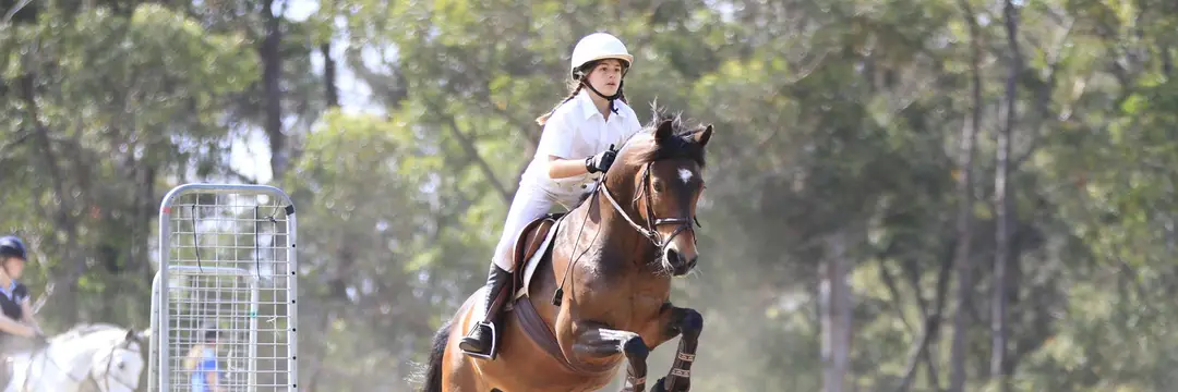 Yarramalong Equestrian Specialists