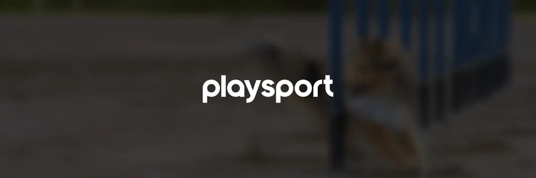 Canine Fun Sports