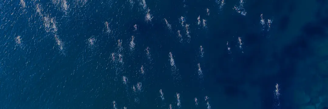 Balmoral Swimmers