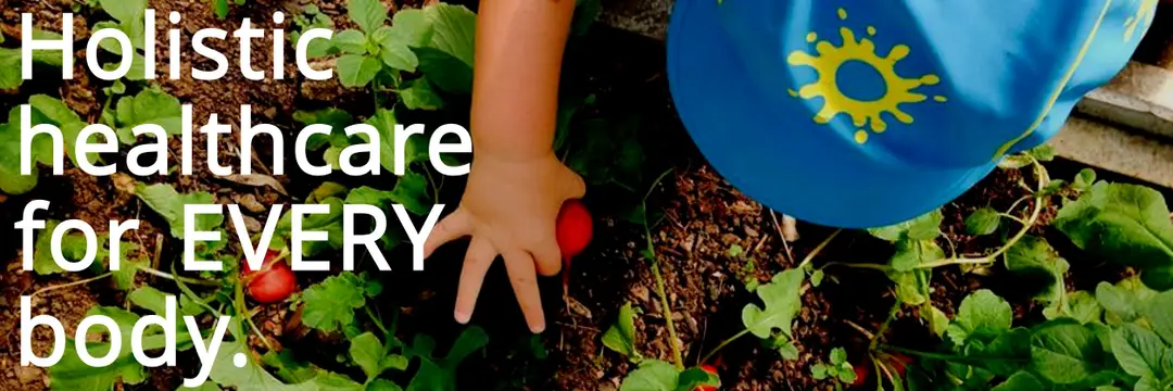 Funky Forest Health & Wellbeing - Coomera