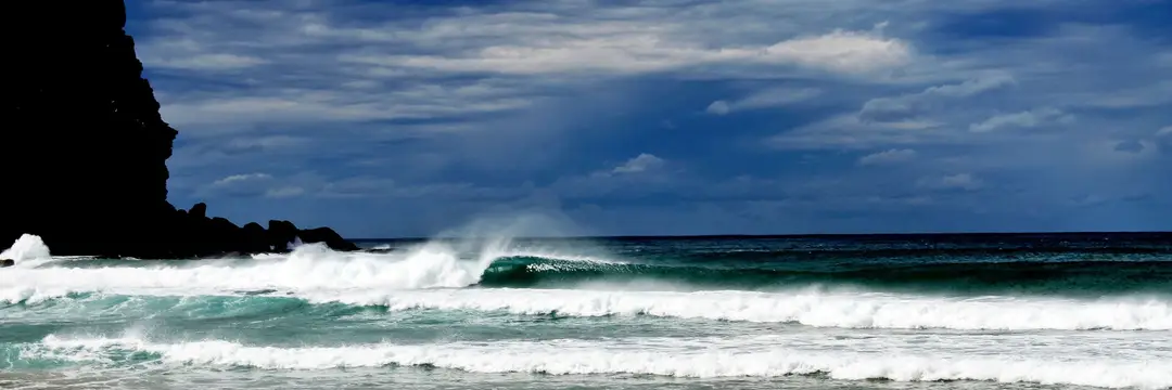 North Avalon Surfriders Association