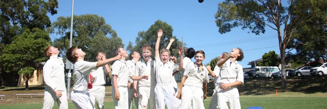 Manly Warringah Junior Cricket Association 