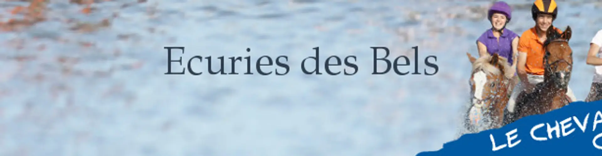 ECURIES DES BELS PENSIONS CHEVAL NATURE