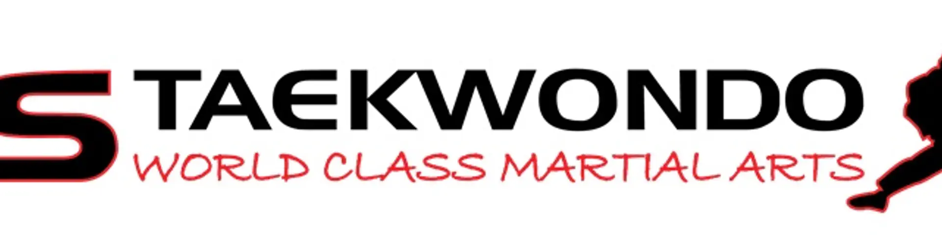 DS TAEKWONDO