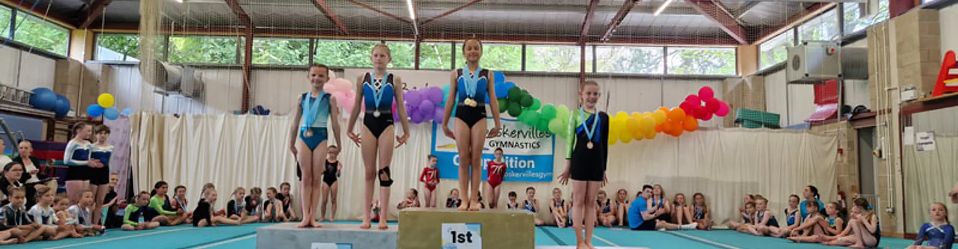 Clevedon Gymnastic Centre