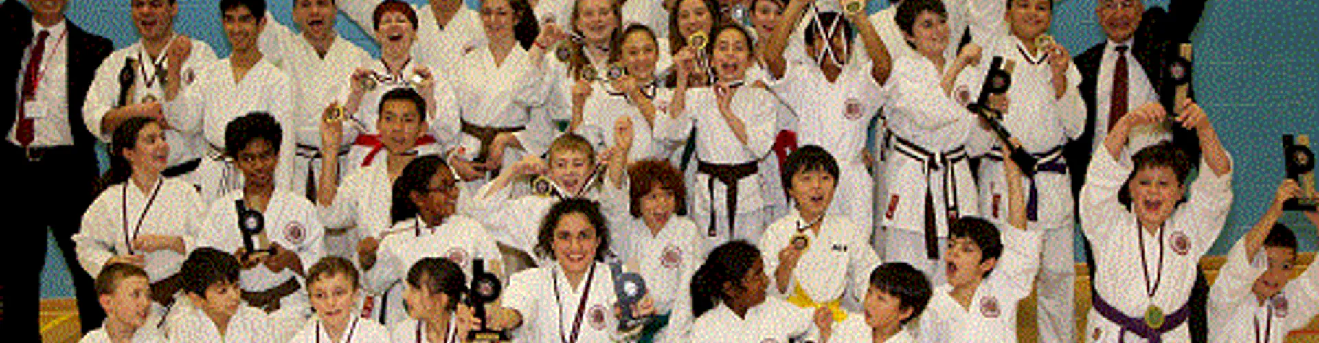 Copthall Karate Club