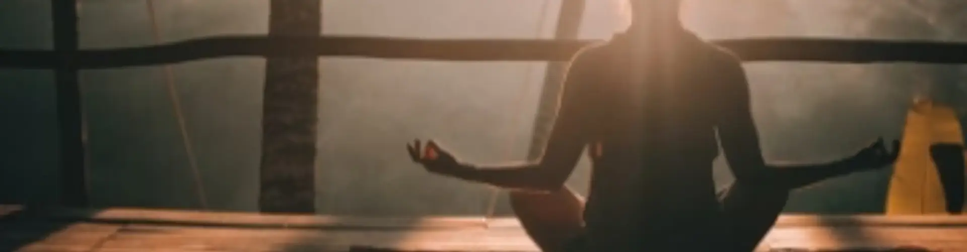 Trainify Yoga