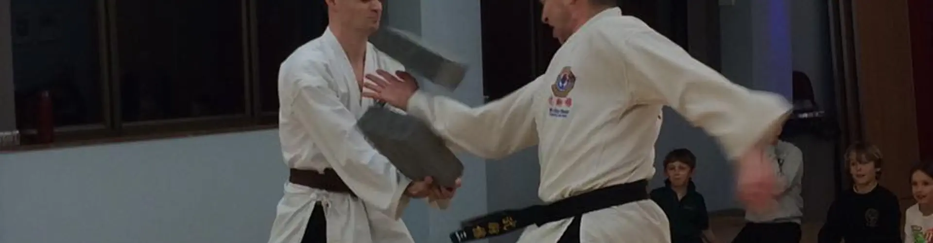 South West Wu Shu Kwan Chinese Boxing Club