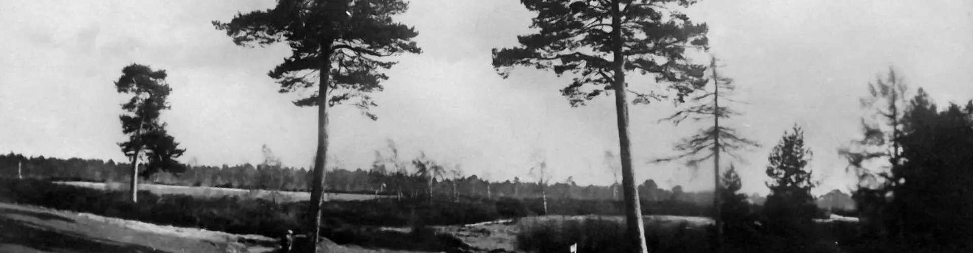 The Blairgowrie Golf Club