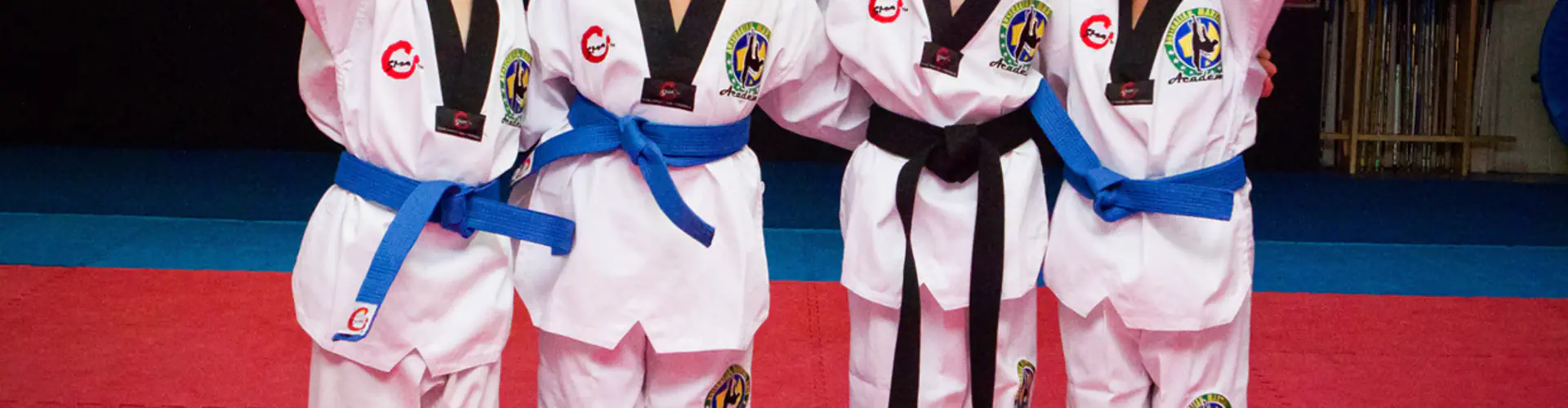 Australian Martial Arts Academy Sydenham
