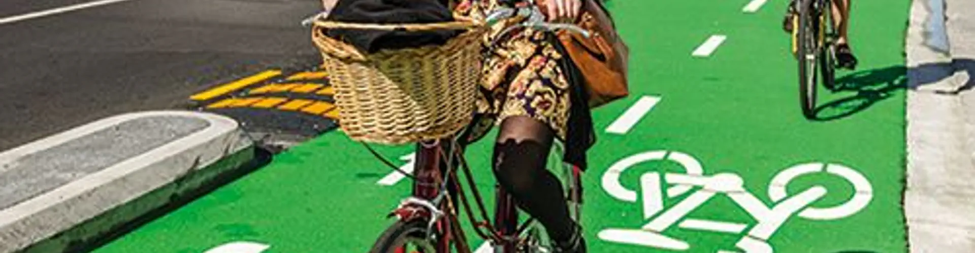 Orakei Walk & Cycle Way