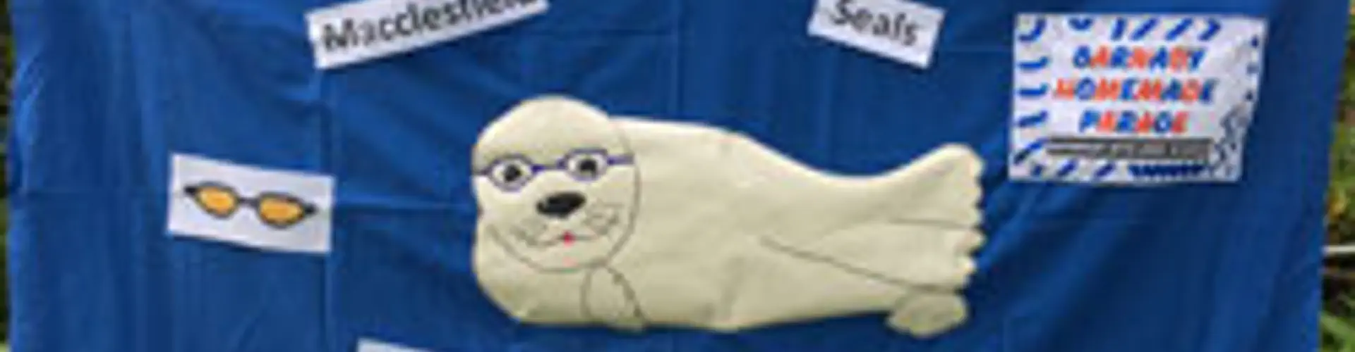 Macclesfield Seals Swimming Club