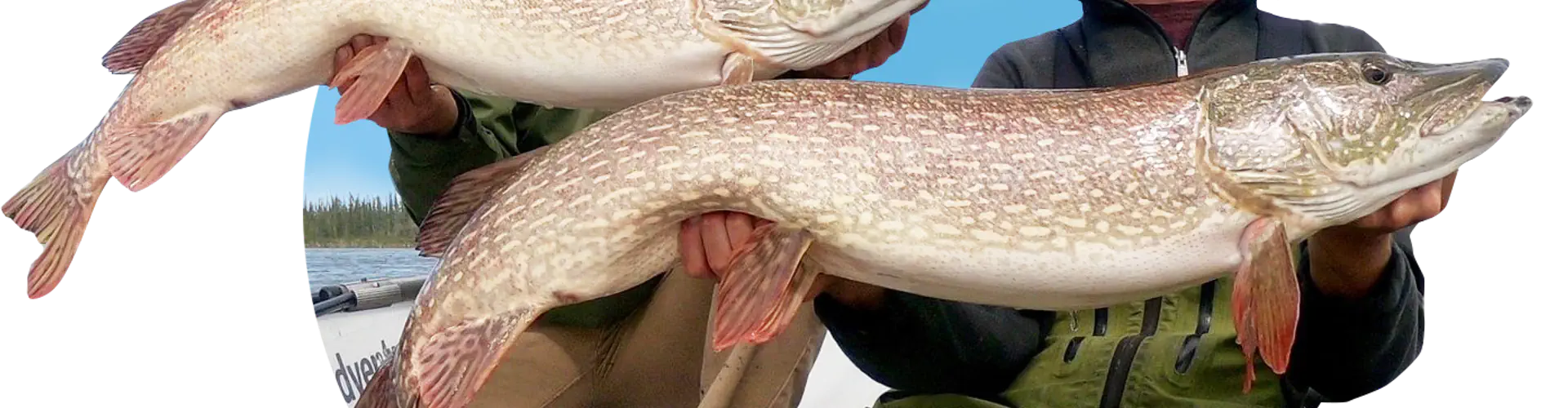 Lac La Martre Fishing Adventure