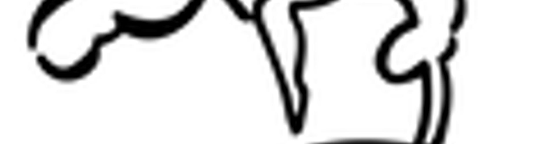 Diamond Willow Vaulting Club