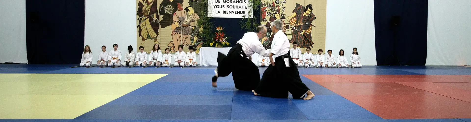 Cmom Aikido