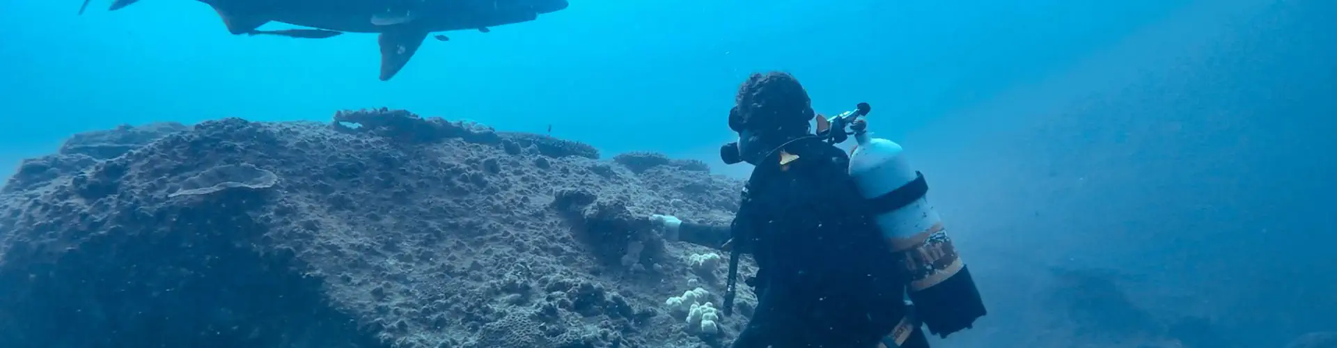 Hanging Rock Double Dive with Sunreef