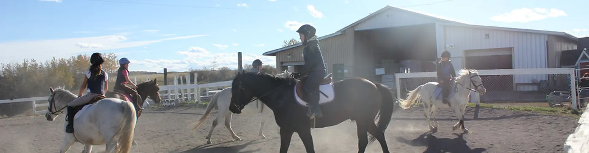 Simpson's Equine Activities