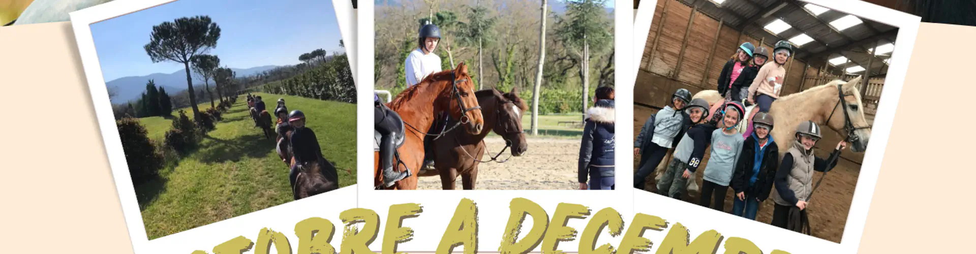 Domaine Equestre Des Pialoux