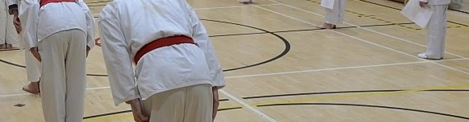 Karate for all ages (from 5 upwards)