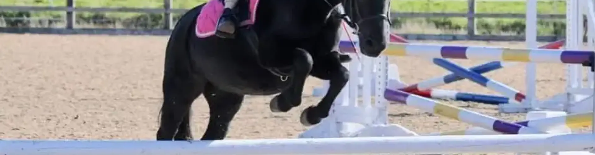 Bold Heath Equestrian Centre