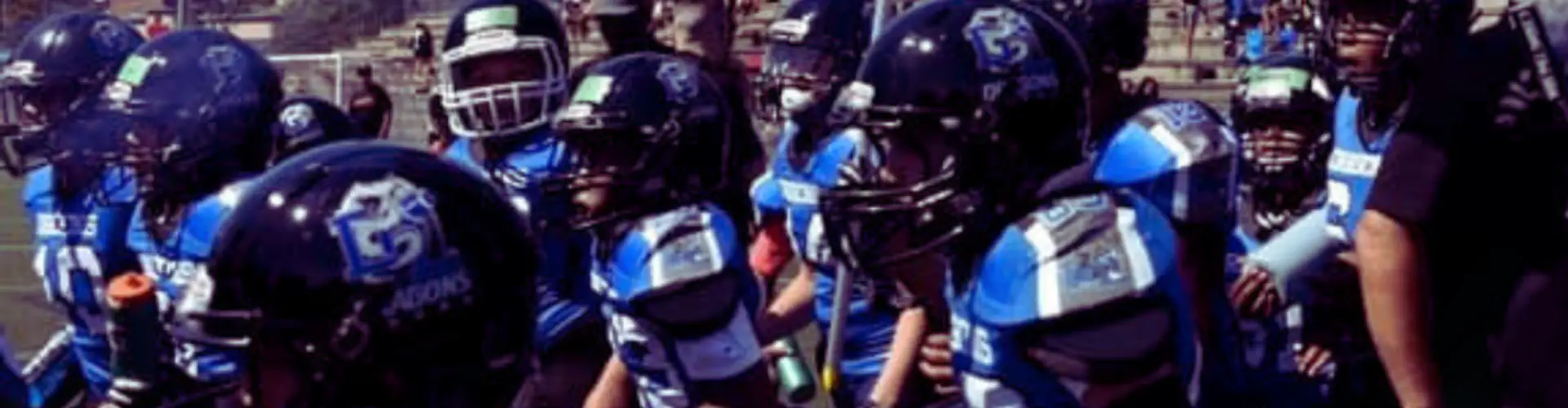 Dragons Laval