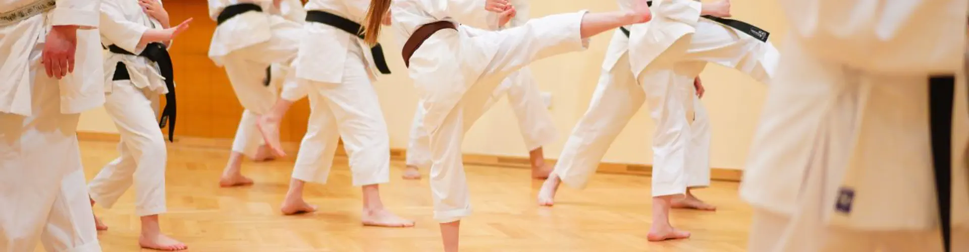 Hamilton Shotokan Karate Club