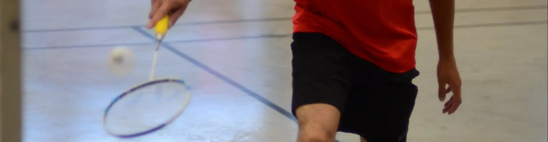 SUC Badminton