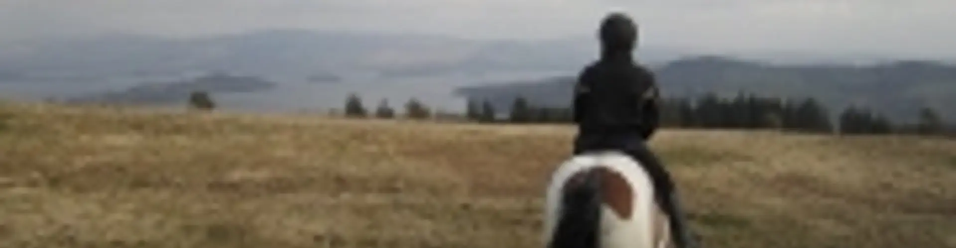 Loch Lomond Pony Trekking