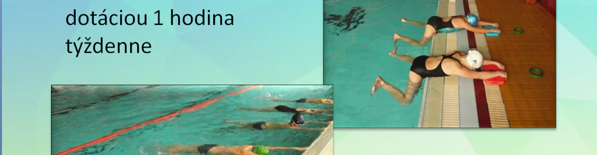 School swimming pool Dolphin