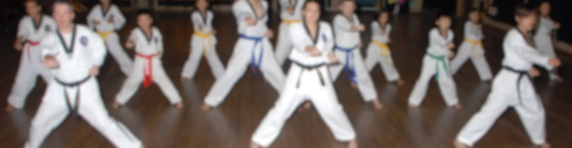 Lion Park's Tae Kwon Do & Self Defence
