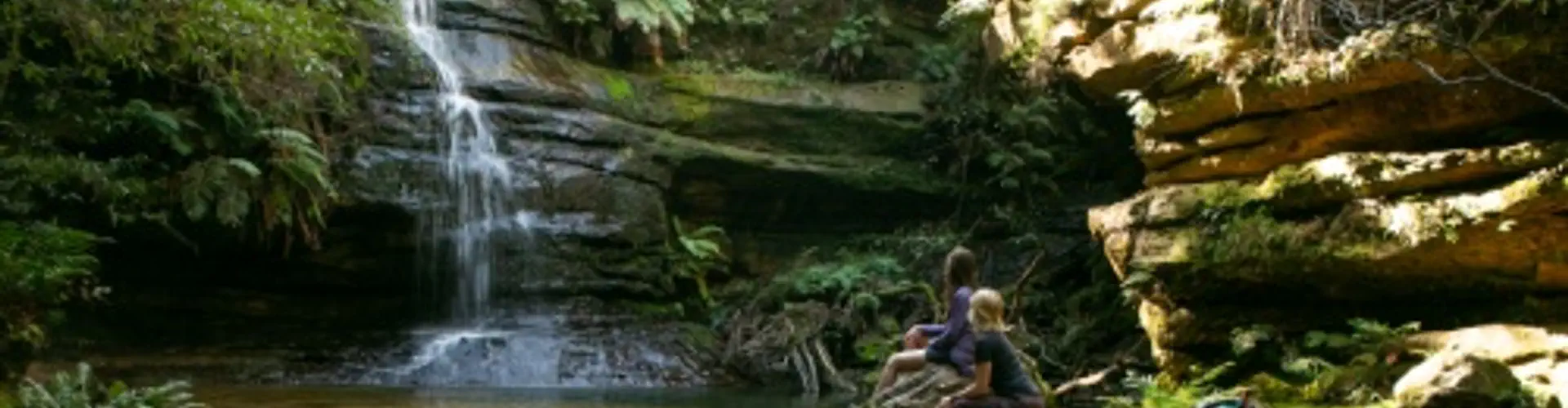 Blue Mountains Walking Trips