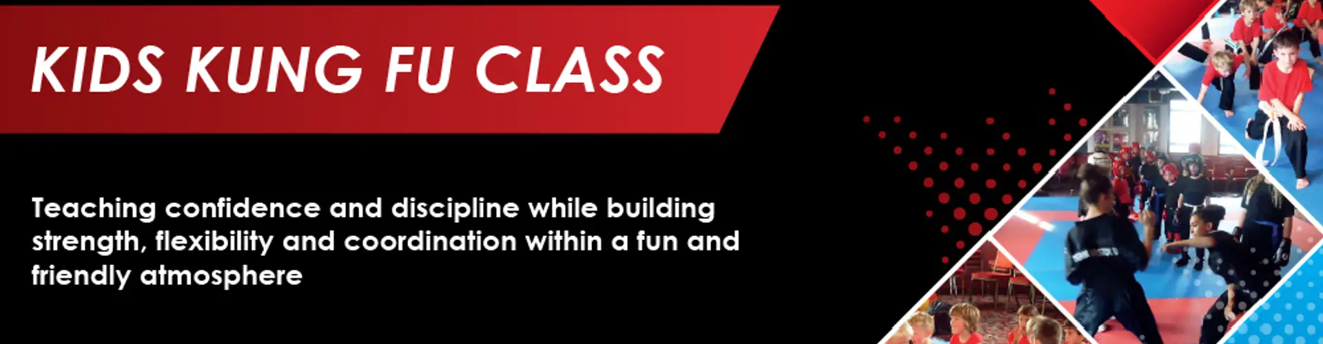 Kids Kung Fu and Kickboxing