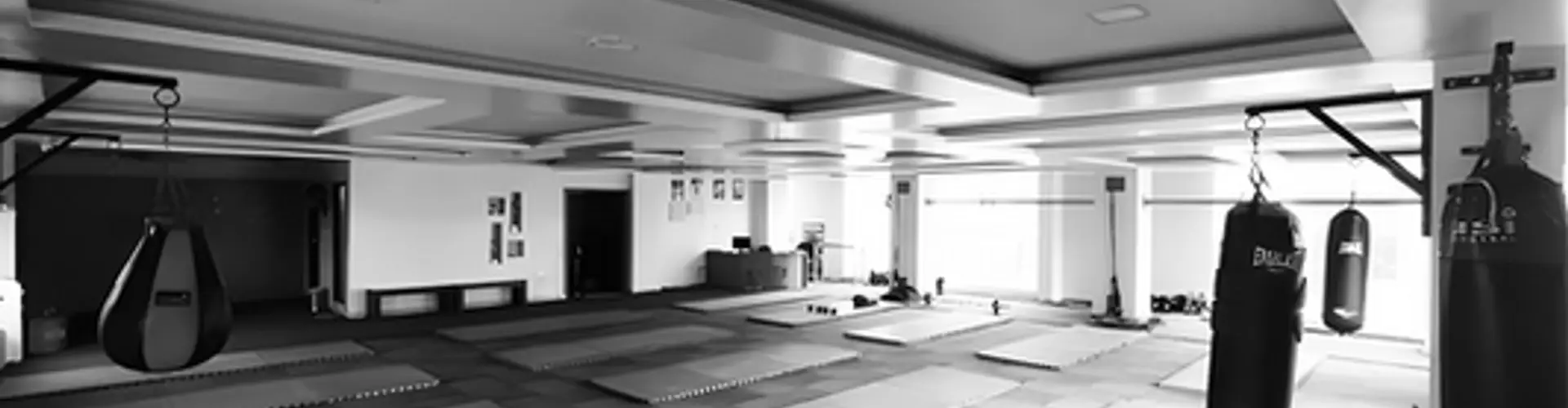Indian Combat Sports Academy