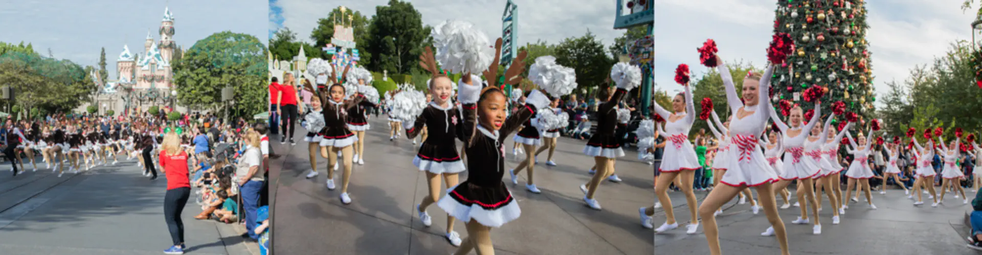 Markham School of Dance