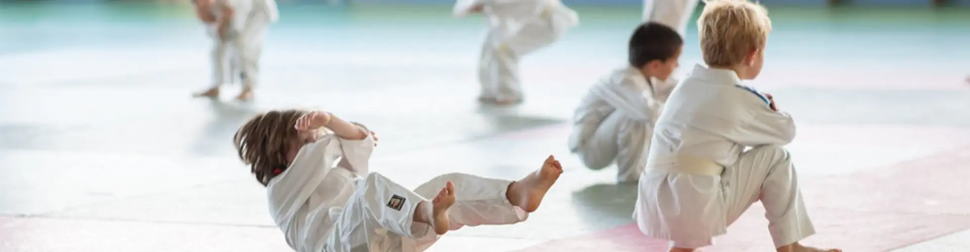 Judo Club De La Motte-Servolex