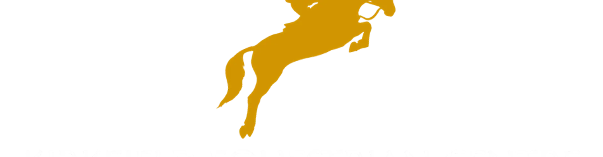 Kirkfields Equestrian Centre
