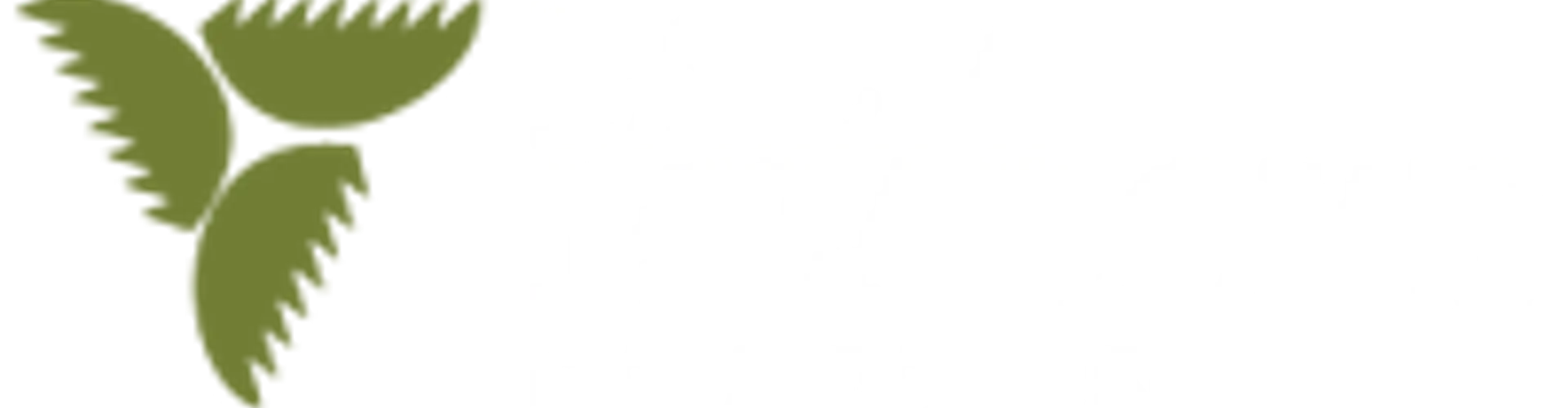Palm Meadows Driving Range