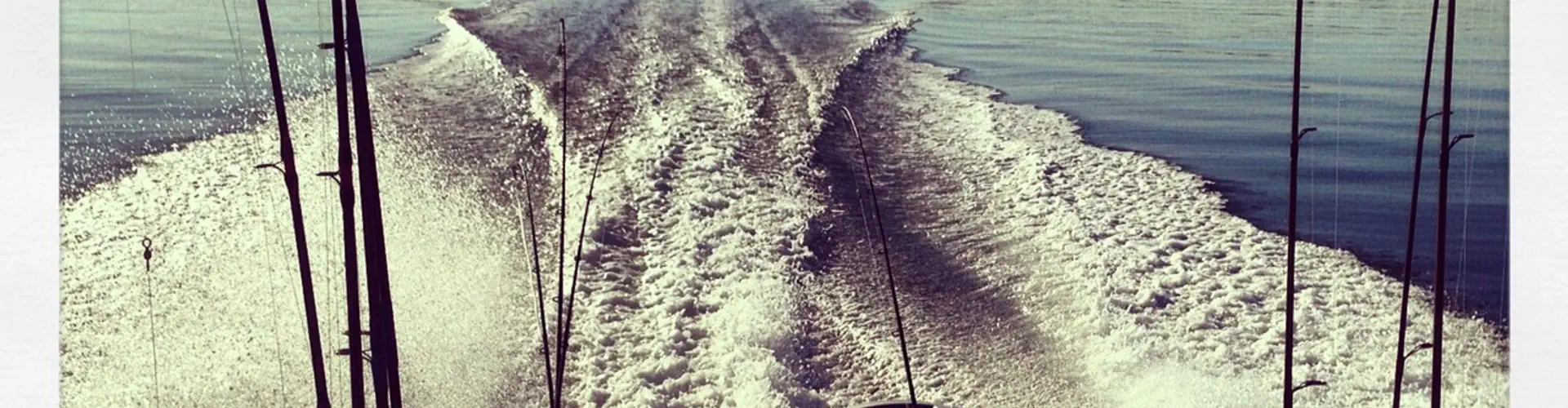 Reel Time Fishing Charters (Hastings Westernport)