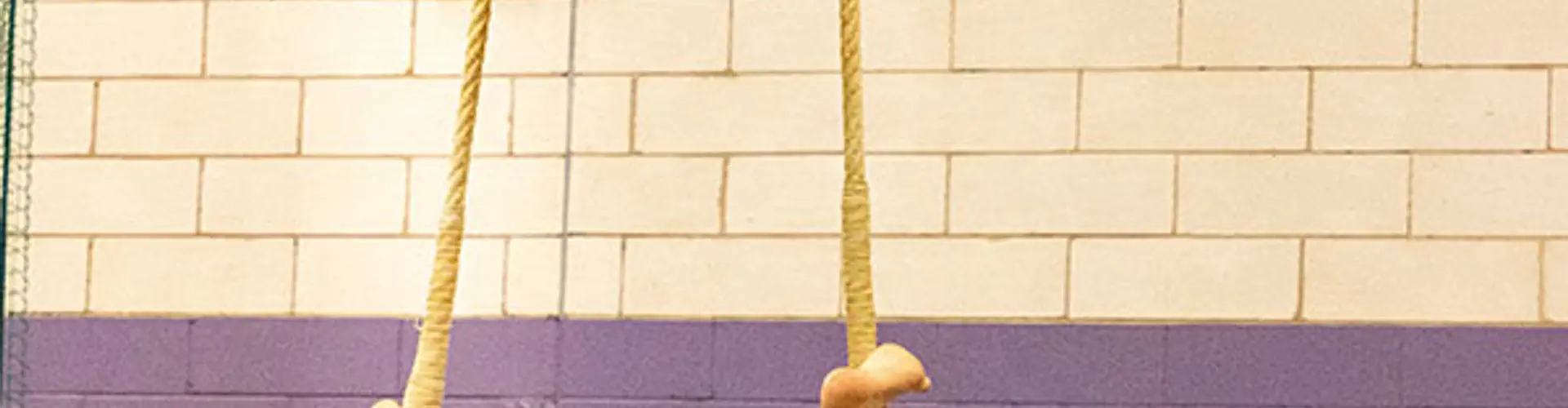 Trapeze and Aerial Acrobatics Skills for Children & Youth