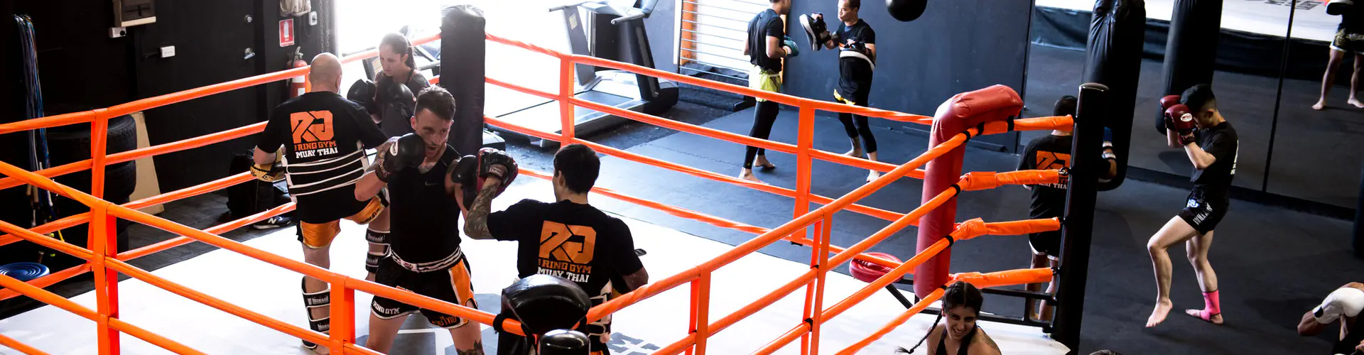The Ring Gym