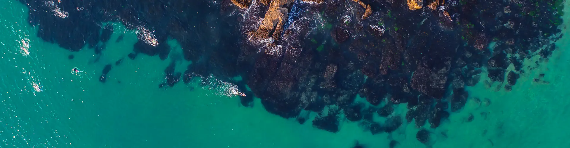 Bold & Beautiful Swim Squad Manly