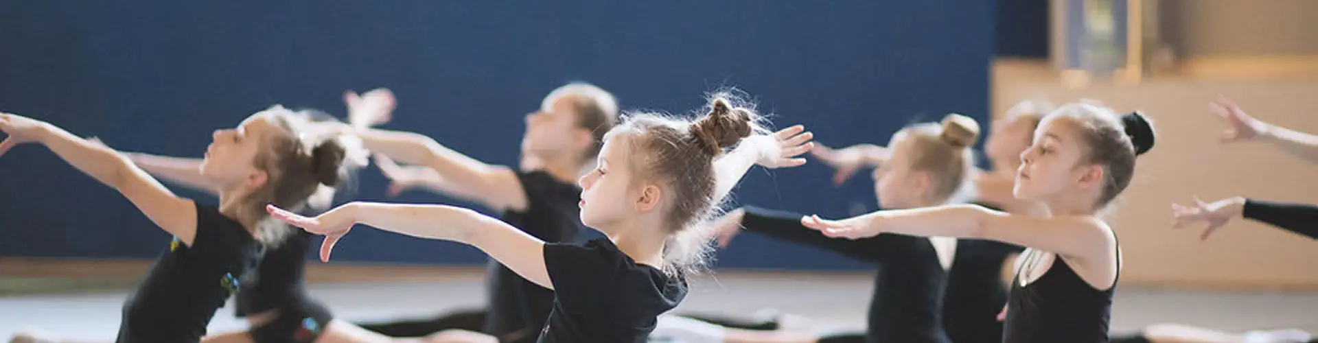 Symmetry Gymnastics