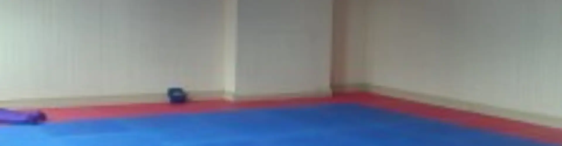 NACTICS MARTIAL ARTS