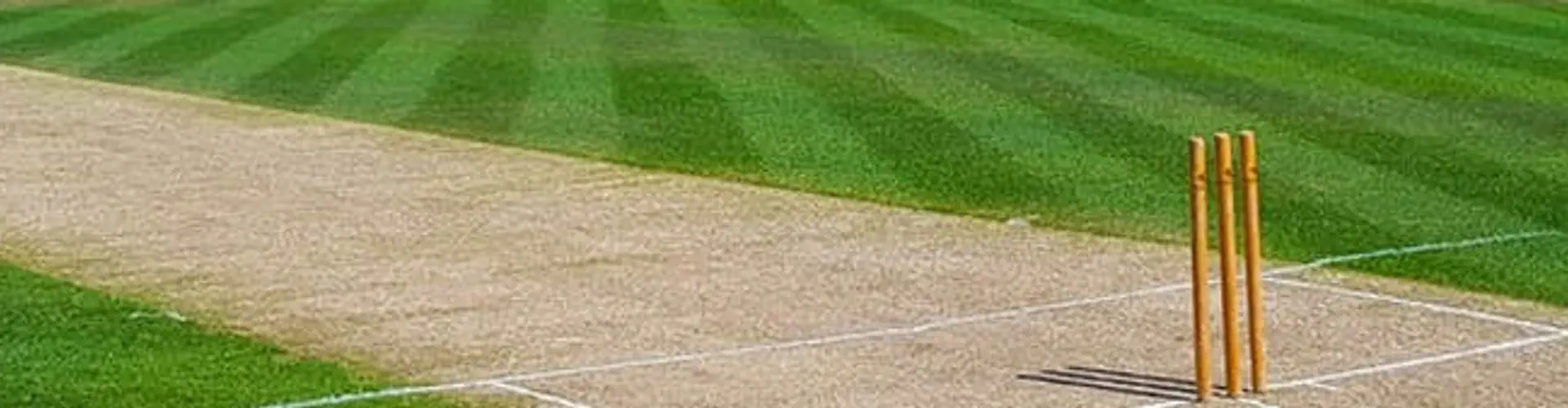 Harbledown Cricket Club