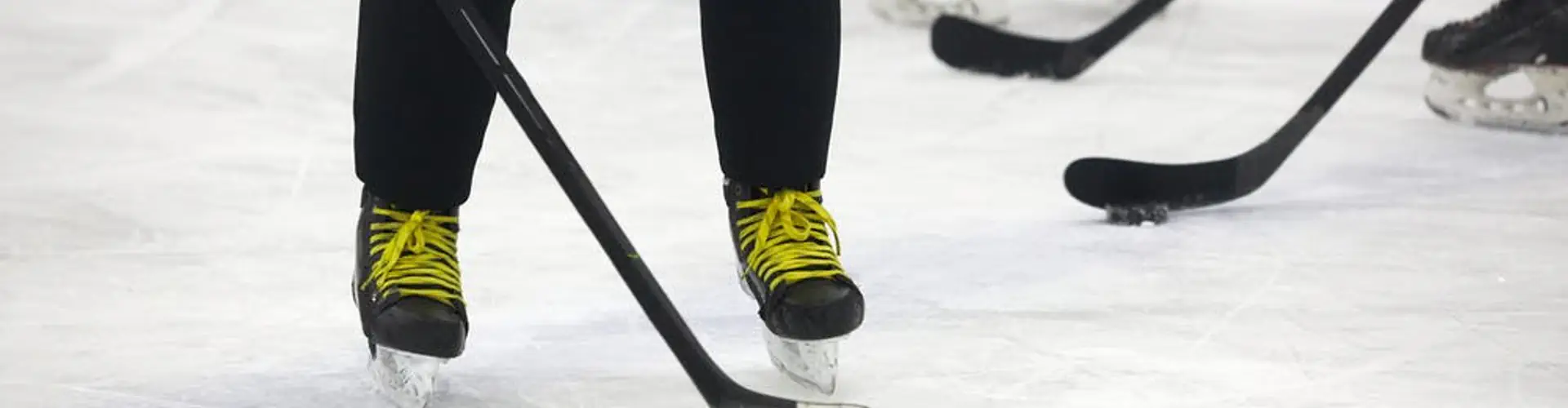 4 The Luv Of Hockey Schools & Leagues