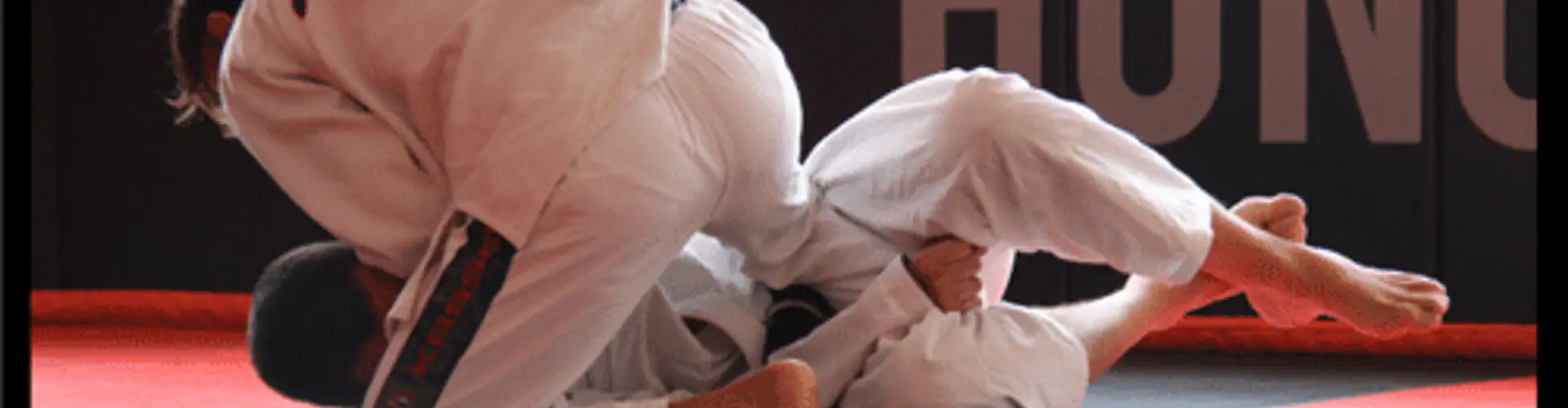 Ultimate Jiu Jitsu Seminar & Grading